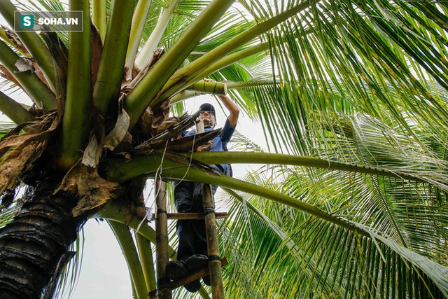  Cặp vợ chồng Việt - Khmer bỏ Sài Gòn về quê làm nghề mát -xa kỳ lạ, giúp nông dân làm giàu gấp 3 lần - Ảnh 4.