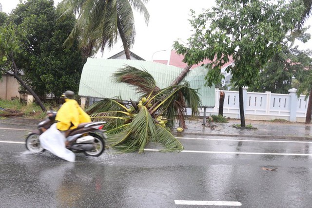 Bão đổ bộ vào Khánh Hòa, TP Nha Trang mưa to, gió lớn, nhiều nơi mất điện - Ảnh 5.