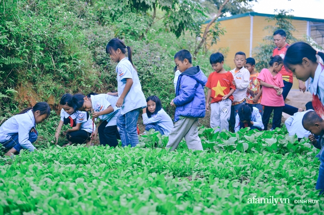 Chuyện của những lớp học trên mây ở Thu Lũm: Cô giáo băng rừng, vượt suốt bắt trẻ đi học, cô hổn hển trò tèm lem nước mắt theo cái chữ, con tương lai - Ảnh 24.