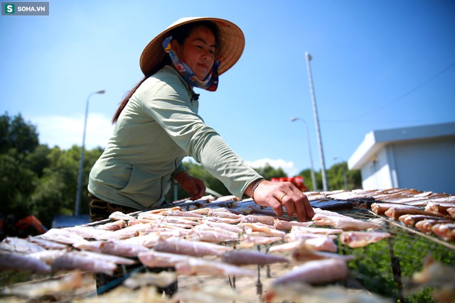  Nằm giữa biển Cần Giờ có một hòn đảo đẹp ngỡ ngàng, hoang sơ, rất ít người biết ở TP.HCM - Ảnh 10.