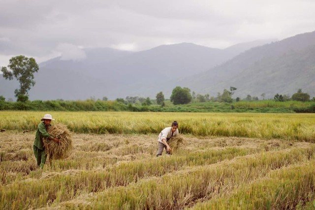 Khoe nhà gỗ có phòng áp mái xinh xắn view thẳng ra núi rừng, chủ nhân Bếp trên đỉnh đồi tiết lộ những khó khăn của cuộc sống bỏ phố về quê - Ảnh 15.