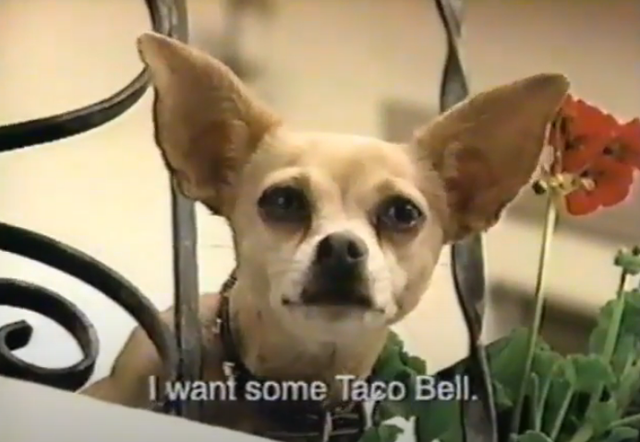 CEO của Taco Bell mất việc vì một chú chó: Cống hiến 3 năm, bị sa thải vì dùng sai ‘người’ trong chiến dịch marketing - Ảnh 1.