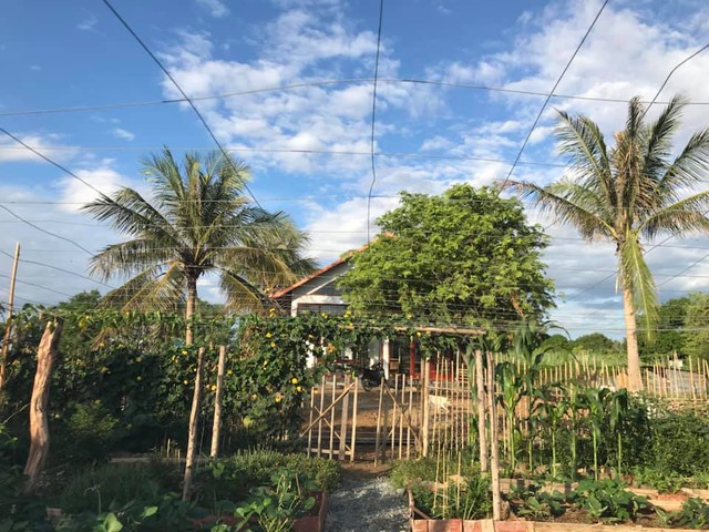 Rời Hà Nội mua 5000m² đất ở Ninh Thuận, cô gái 8x chỉ ra sự thật đằng sau 2 chữ an yên nhiều người nghĩ lúc về quê nuôi cá và trồng thêm rau  - Ảnh 5.