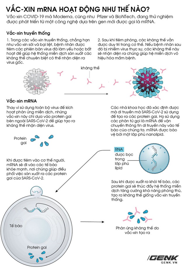 Vắc-xin mRNA: Từ sau Bức Màn Sắt Thế chiến II đến khoảnh khắc cứu thế giới khỏi COVID-19 - Ảnh 4.