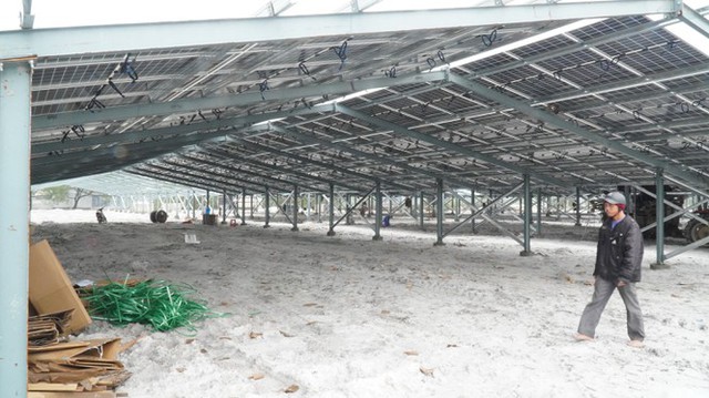 Kỳ lạ làm trang trại ‘điện mặt trời’ tại TT-Huế: Áp mái lên hàng loạt nhà... không mái - Ảnh 3.