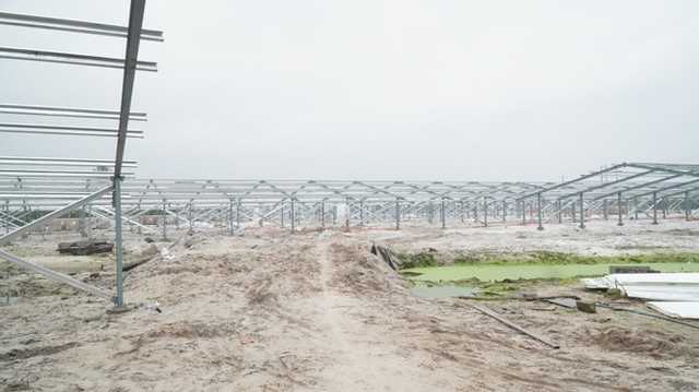 Kỳ lạ làm trang trại ‘điện mặt trời’ tại TT-Huế: Áp mái lên hàng loạt nhà... không mái - Ảnh 4.