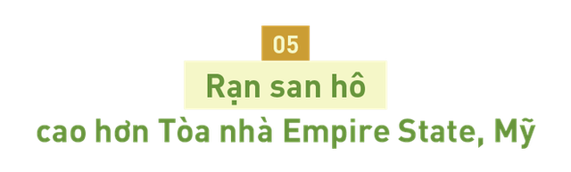  Trước khi năm 2020 khép lại, điểm qua 10 sự kiện khám phá khoa học lớn trong năm nay - Ảnh 4.