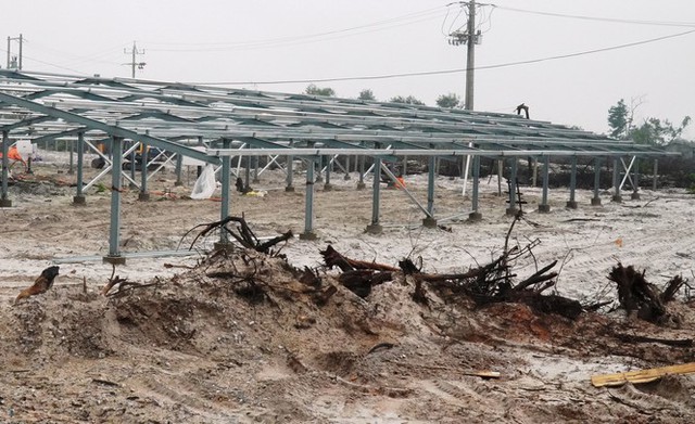  Kỳ lạ làm trang trại ‘điện mặt trời’ tại TT-Huế: Áp mái lên hàng loạt nhà... không mái  - Ảnh 5.