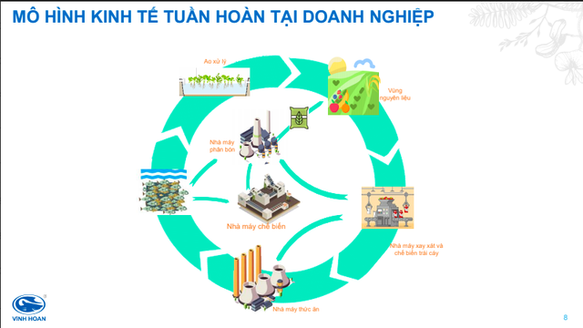 Kinh tế tuần hoàn  Tư duy và tầm nhìn của những người mở đường