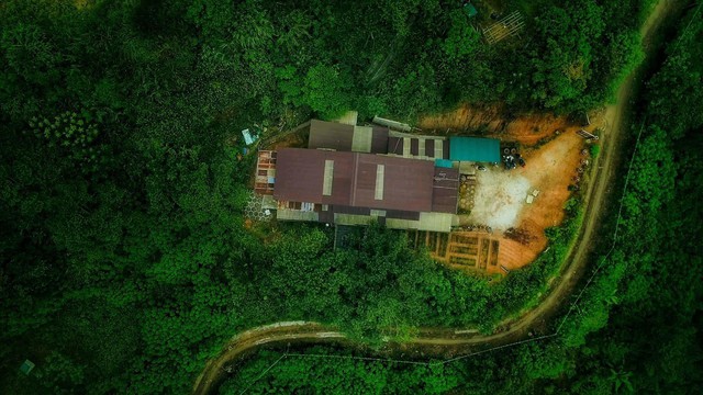Chàng trai bỏ du học về Đà Lạt dựng ngôi nhà gỗ xinh xắn, làm nông trại và kể câu chuyện thời thanh xuân của riêng mình - Ảnh 1. Chàng trai bỏ du học về Đà Lạt dựng ngôi nhà gỗ xinh xắn, làm nông trại và kể câu chuyện thời thanh xuân của riêng mình - Ảnh 1.