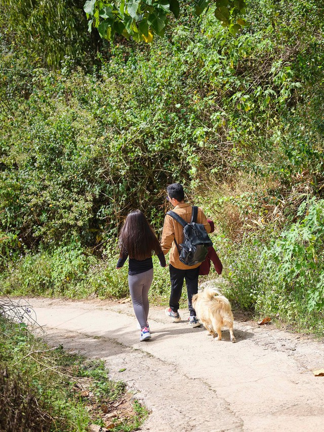 The boy who dropped out of studying abroad came back to Da Lat to build a lovely wooden house, farm and tell his own youth story - Photo 17.