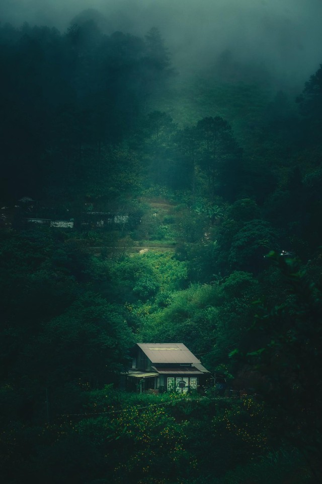 The boy who dropped out of studying abroad came back to Da Lat to build a lovely wooden house, farm and tell his own youth story - Photo 21.