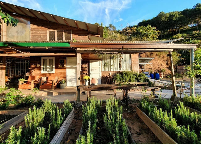 The boy who dropped out of study abroad came back to Da Lat to build a lovely wooden house, farm and tell his own youth story - Photo 22.