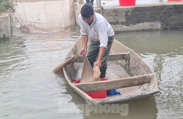 Nông dân Hải Phòng thấp thỏm lo rươi mất mùa - Ảnh 9.