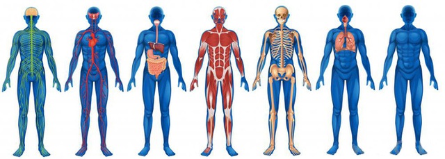  Bí quyết Đông y độc đáo: Thực hành Tứ tiêu để làm khỏe cơ thể, trẻ hóa, kéo dài tuổi thọ - Ảnh 2.