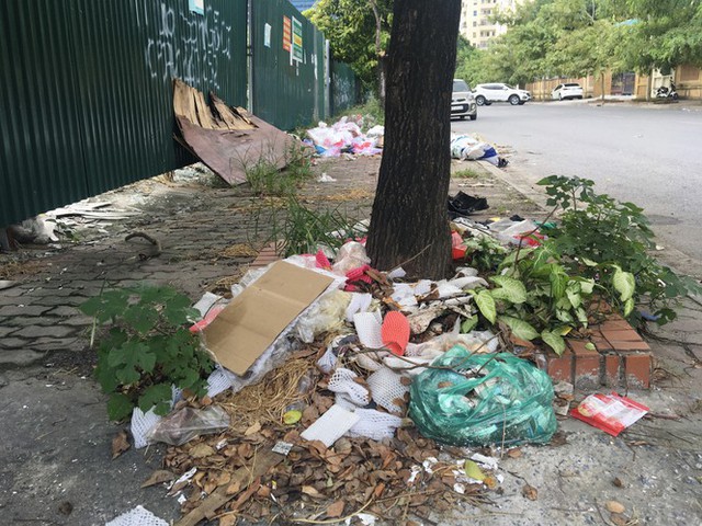 Hàng loạt bãi rác tự phát gây ô nhiễm đường phố Hà Nội - Ảnh 7.