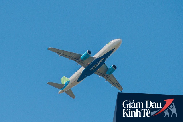 Bamboo Airways đưa 200 công dân EU tại Việt Nam và Thái Lan hồi hương ngày 31/3, chiều về Việt Nam sẽ bay rỗng - Ảnh 1.