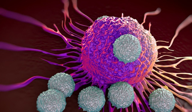 Nghiên cứu: Virus corona chủng mới có thể tiêu diệt tế bào miễn dịch, trong khi virus SARS không thể - Ảnh 1. Nghiên cứu: Virus corona chủng mới có thể tiêu diệt tế bào miễn dịch, trong khi virus SARS không thể - Ảnh 1.