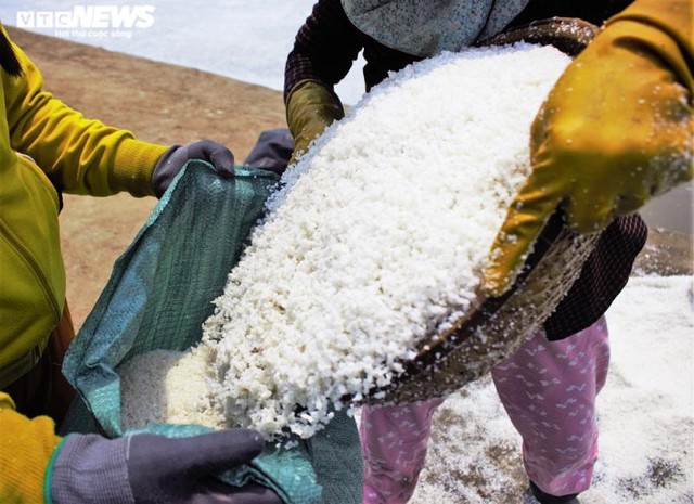  Bán 50kg muối chỉ đủ mua 2kg gạo, diêm dân Sa Huỳnh khóc ròng  - Ảnh 8.