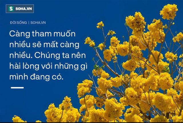  Thấy gà đẻ ra trứng vàng, vợ chồng lão nông vội đem con vật đi giết mà không biết đã đánh mất cơ hội tốt hơn - Ảnh 1.