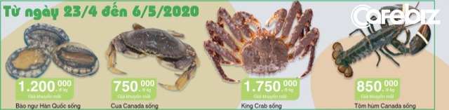 Chuỗi Co.opmart, Co.opXtra giảm giá 3.400 mặt hàng, bào ngư Hàn Quốc sống còn 1.200.000 đ/kg, cua king crab sống giá 1.750.000 đ/kg - Ảnh 1.