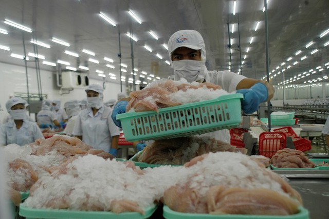 Mỹ giảm thuế chống bán phá giá cho cá tra Việt Nam - Ảnh 2.