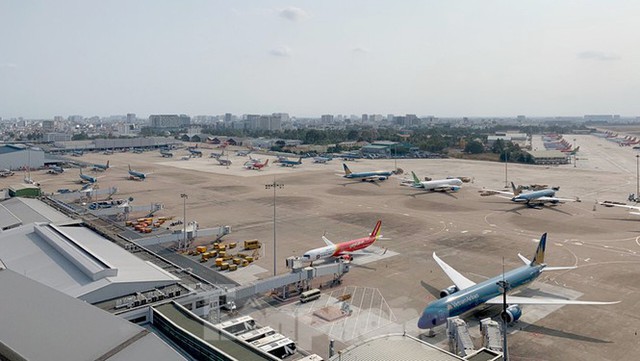 Máy bay đỗ la liệt sân bay Nội Bài, Tân Sơn Nhất do dịch COVID-19 - Ảnh 3.