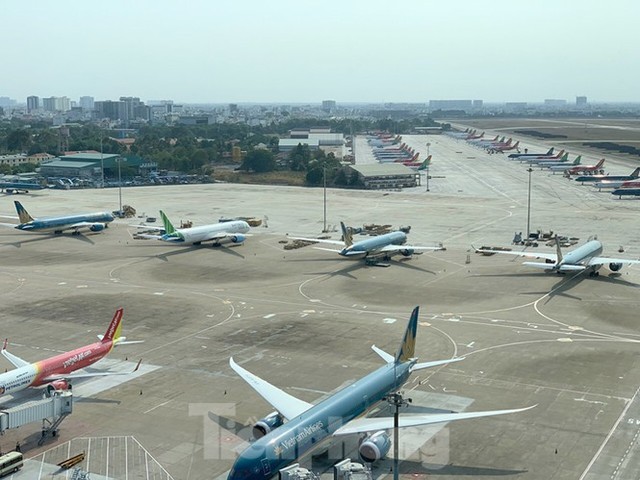 Máy bay đỗ la liệt sân bay Nội Bài, Tân Sơn Nhất do dịch COVID-19 - Ảnh 5.