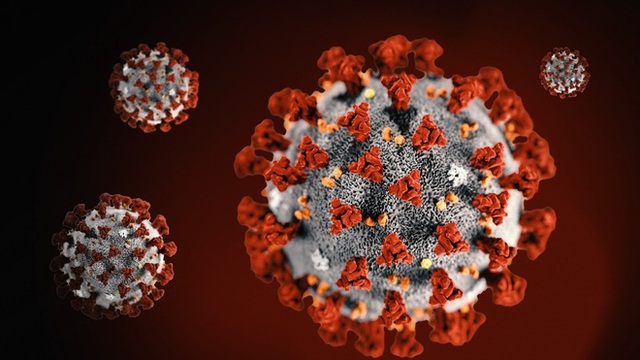  Dự đoán về khả năng sống chung với virus SARS CoV-2 trong tương lai của thế giới - Ảnh 1.