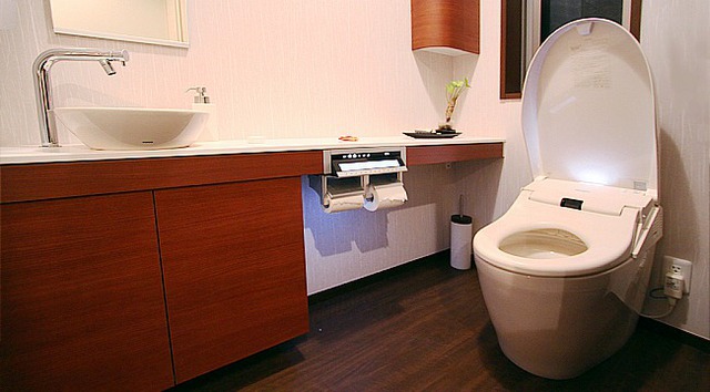 Quỳnh Trần JP kể chuyện người Nhật hễ nghe động đất là chạy ngay vào toilet, nghe có vẻ kỳ lạ nhưng lý do và ý nghĩa của hành động này khiến ai cũng bị thuyết phục - Ảnh 2.