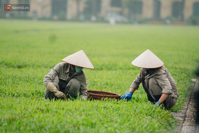 130 năm sinh nhật Bác Hồ: Người Hà Nội đến dự lễ chào cờ ở Quảng trường Ba Đình lịch sử, phố phường rực rỡ cờ hoa - Ảnh 17.