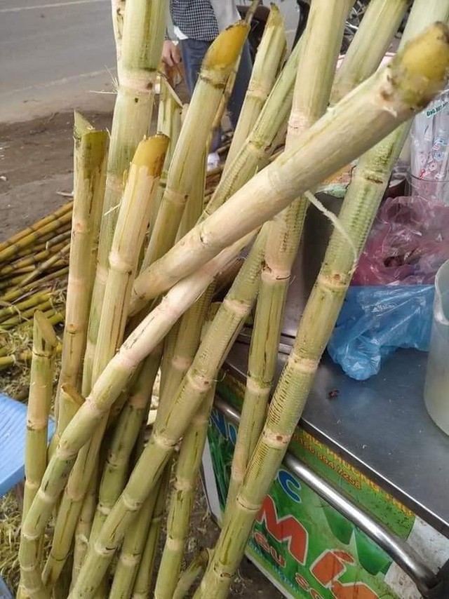 Nắng nóng, nước giải khát cháy hàng - Ảnh 1. Nắng nóng, nước giải khát cháy hàng - Ảnh 1.