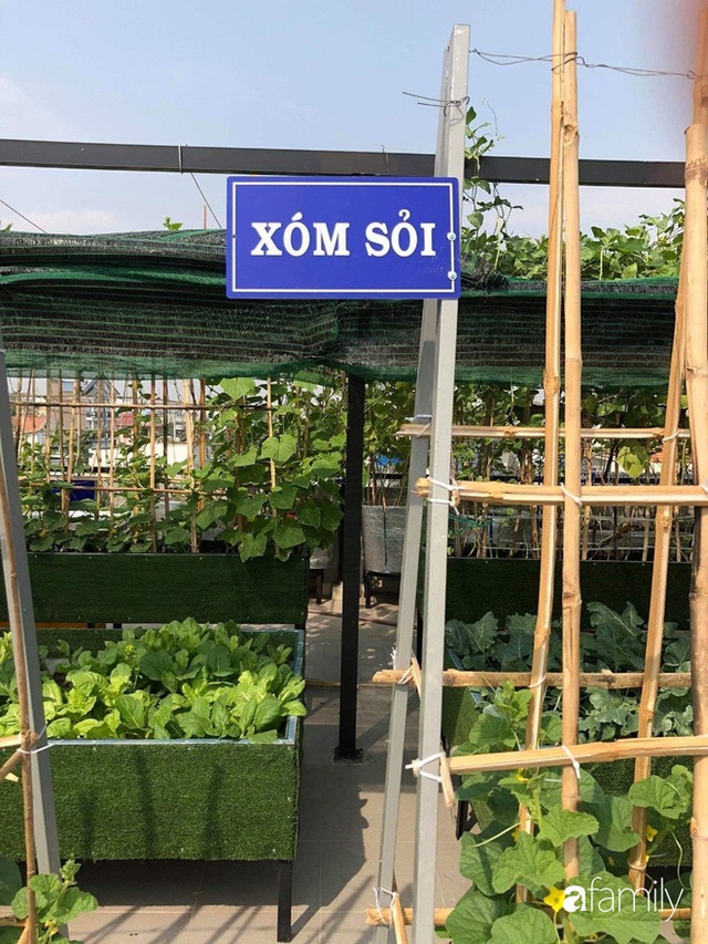  Doanh nhân Sài Gòn trồng cả vườn rau như trang trại và hồ sen trên sân thượng rộng 300m² - Ảnh 11.