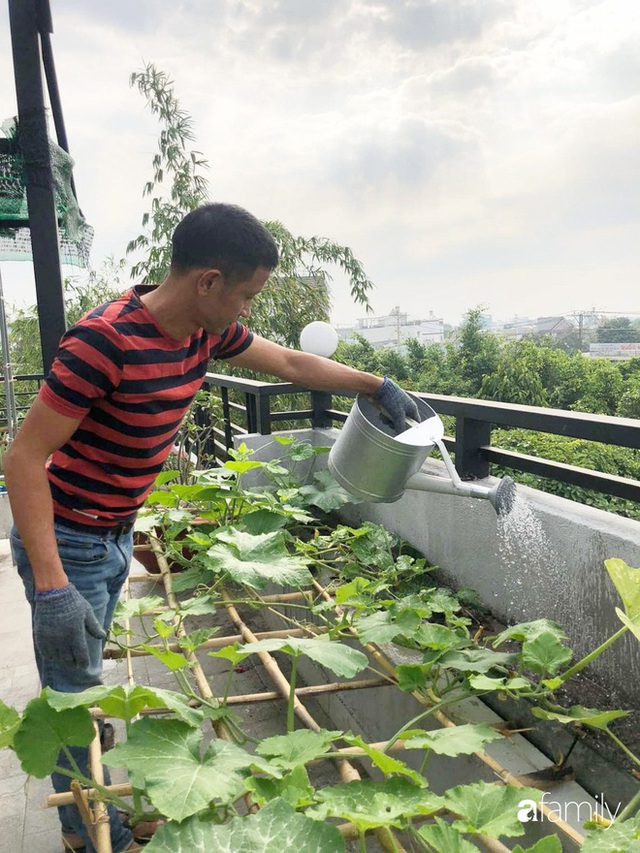 Doanh nhân Sài Gòn trồng cả vườn rau như trang trại và hồ sen trên sân thượng rộng 300m² - Ảnh 13.