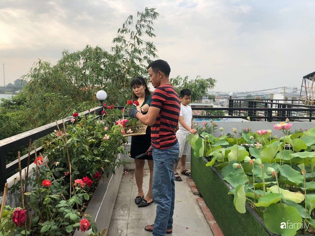  Doanh nhân Sài Gòn trồng cả vườn rau như trang trại và hồ sen trên sân thượng rộng 300m² - Ảnh 15.
