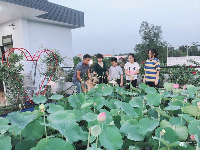  Doanh nhân Sài Gòn trồng cả vườn rau như trang trại và hồ sen trên sân thượng rộng 300m² - Ảnh 16.