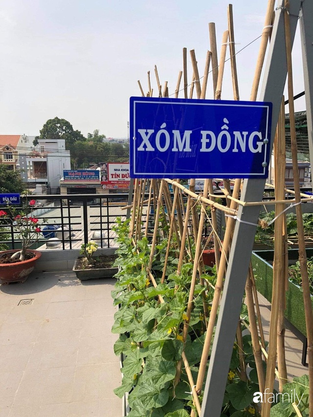 Doanh nhân Sài Gòn trồng cả vườn rau như trang trại và hồ sen trên sân thượng rộng 300m² - Ảnh 19.