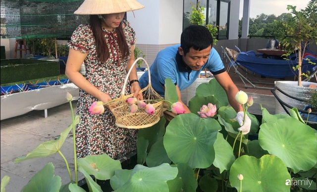  Doanh nhân Sài Gòn trồng cả vườn rau như trang trại và hồ sen trên sân thượng rộng 300m² - Ảnh 22.