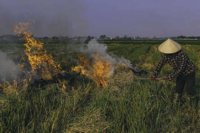 Người dân Hà Nội đốt rơm rạ khói bay mù mịt giữa cái nóng gần 40 độ, khiến không khí ngày càng ô nhiễm - Ảnh 3.