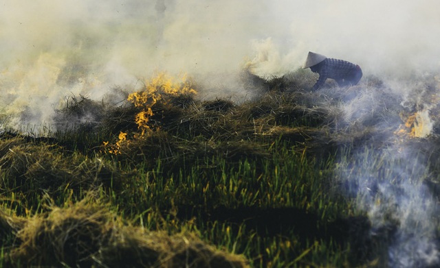 Người dân Hà Nội đốt rơm rạ khói bay mù mịt giữa cái nóng gần 40 độ, khiến không khí ngày càng ô nhiễm - Ảnh 4.