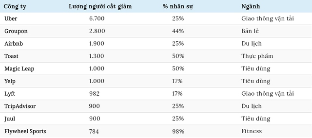 Kỳ lân gãy sừng: Làn sóng cắt giảm nhân sự của startup sau Covid-19 - Ảnh 2.