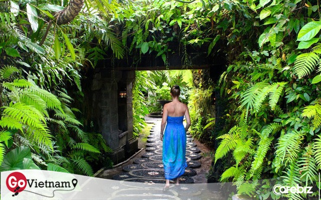 Wellness tourism: Mô hình du lịch đầy tiềm năng tại Việt Nam nhưng không phải ai cũng biết