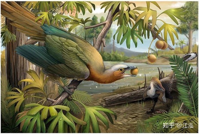 Các nhà khoa học phát hiện ra bí mật giúp loài chim thoát khỏi sự tuyệt chủng hàng loạt - Ảnh 6.