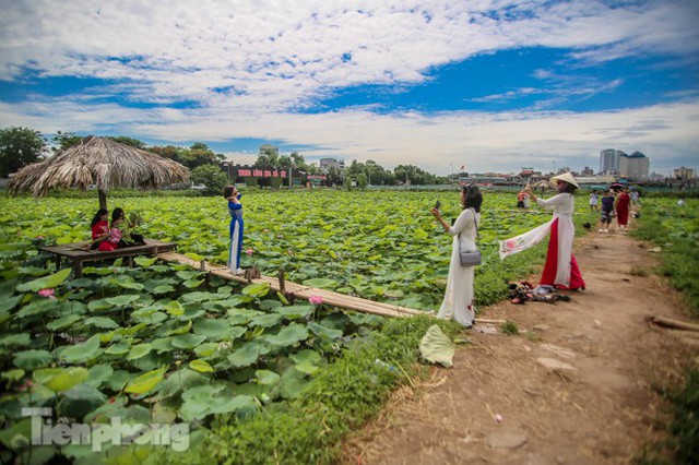 Hốt bạc triệu mỗi ngày trong mùa sen Hồ Tây - Ảnh 1.