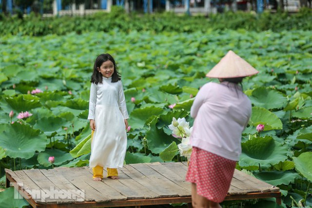 Hốt bạc triệu mỗi ngày trong mùa sen Hồ Tây - Ảnh 12.