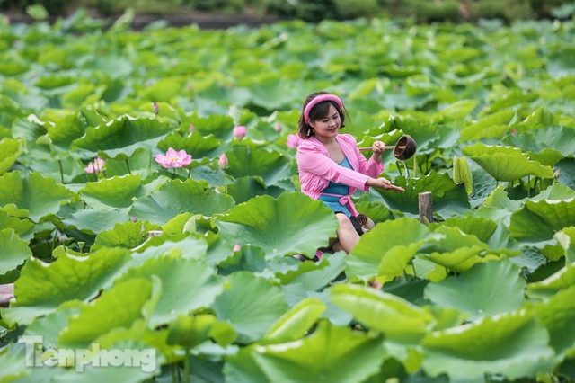 Hốt bạc triệu mỗi ngày trong mùa sen Hồ Tây - Ảnh 15.