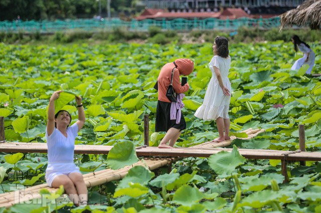 Hốt bạc triệu mỗi ngày trong mùa sen Hồ Tây - Ảnh 10.