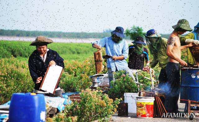 Tạm xa Hồ Tây một hôm, về Ninh Bình thăm bác nông dân thu nhập khủng nhờ nuôi ong lấy mật từ loài hoa ít ai ngờ tới - Ảnh 9.