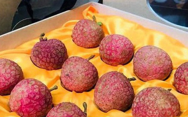 Vải thiều Việt Nam được đóng hộp như tổ yến khi bán tại Nhật, 650k chỉ mua được 1 hộp 12 quả