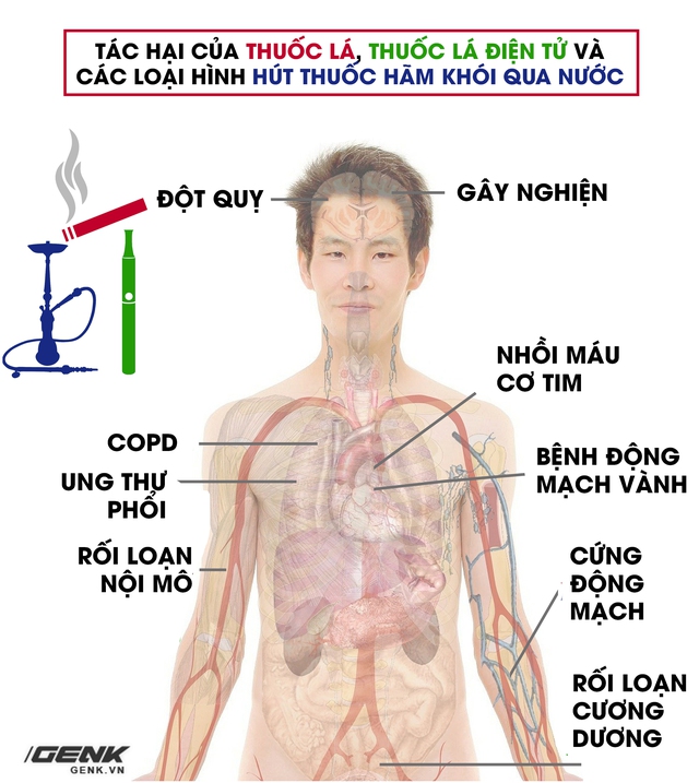 Bất kể hình thức: Hút thuốc lá điếu, thuốc lá điện tử hay shisha đều phá hủy mạch máu và gây ung thư phổi - Ảnh 1.
